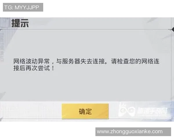 和平精英焦点BLG战术分析与实战策略探讨全景解析