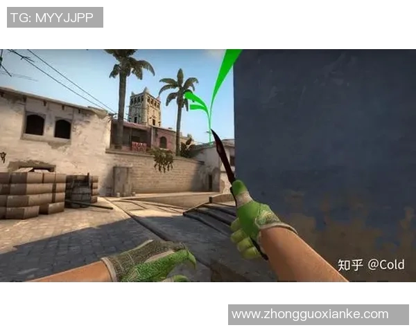 最新CSGO比赛经验分享TOP10战队IG领跑全新战术解析与选手表现亮点实时新闻